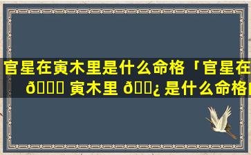 官星在寅木里是什么命格「官星在 🐋 寅木里 🌿 是什么命格的人」